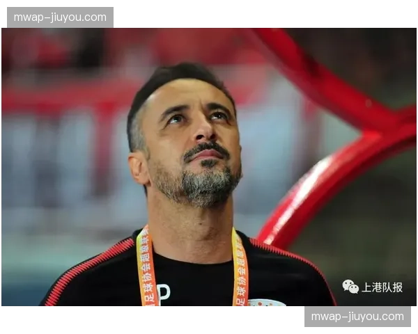 巴西防线默契度面临挑战，不同体系球员如何快速产生化学反应